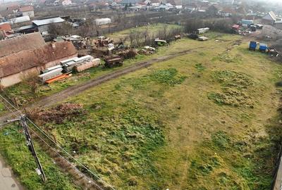 3300 mp  de vânzare in vatra veche Remetea Mare , Timiș