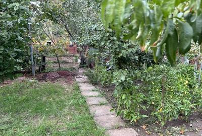 Casă cu 6 camere cu Teren 10000 Mp în Mehala - 1