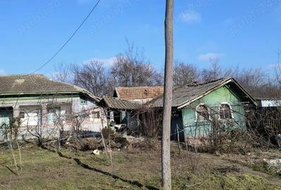 Vand casa 40 km de Bucuresti - 9