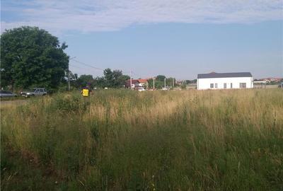 Spațiu comercial, în Sânandrei