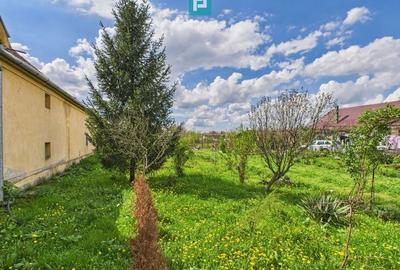 Teren 1300 mp, Beregsău Mare - 5