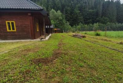 Casa de vacanta , zona Soarecului , Marginea - 18