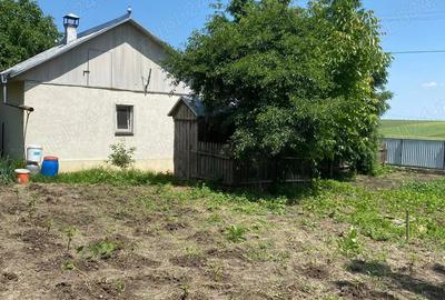Vand casa cu gradina sat Podeni, Com Corlateni, jud. Botosani - 2