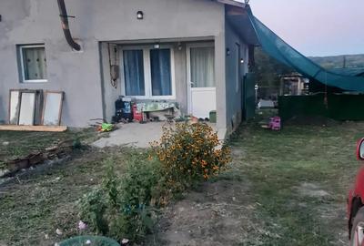 Un col? de lini?te!.Casa si teren!!! - 10
