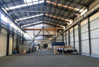 DEPOZIT LOGISTIC GHIMBAV - 3700 MP CU POD RULANT - 5