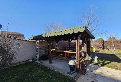 Casa mare, solida, Timisoara, D+P, 5 camere, 2 bai, Zona Li - 5