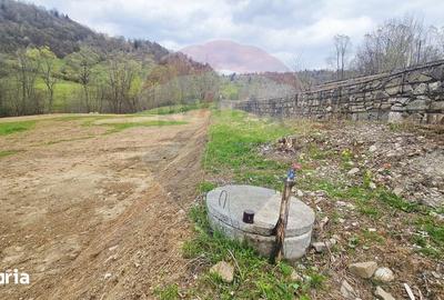 Teren de 2910 mp, în Hangu - 2