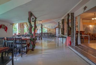 Hotel/Pensiune, de 1,004 mp, în Cioplea - 8