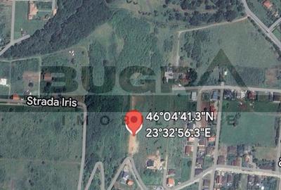 Teren de 747 mp, în Cetate - 4