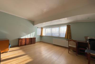 Vila Bucurestii Noi- Parc Bazilescu - 9