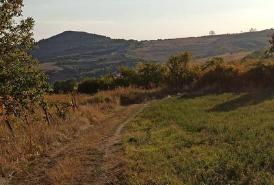 Teren de 21000 mp, în Jugureni - 4