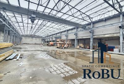 Spatiu 3 hale si birouri in zona Coresi # Spatii comerciale RoBU - 6