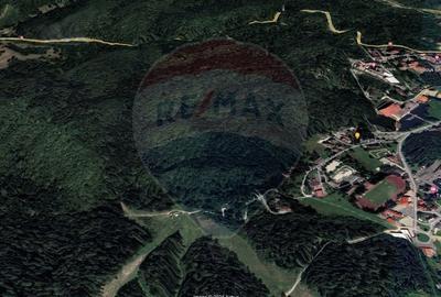 Oportunitate de investitie ! Teren intravilan, 19086 mp, Poiana Brasov - 8