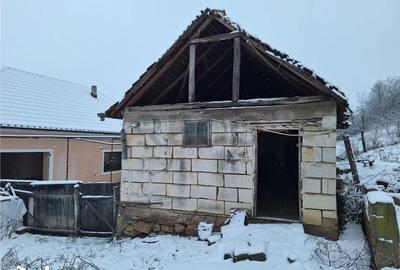 Casă cu 4 camere cu Teren 11000 Mp în Uileacu de Beiuș - 3