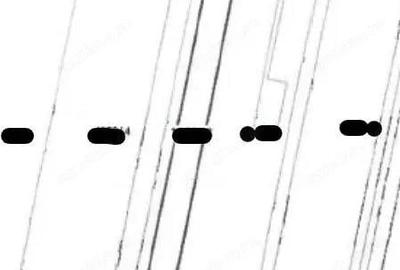 Teren extravilan arabil cota parte 3/32 Smardan, ID: R2763211 - 2