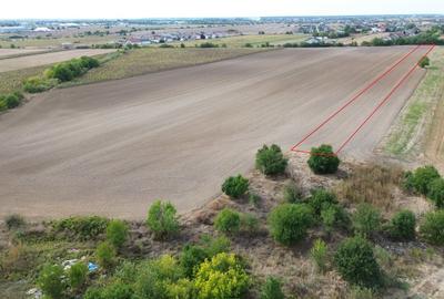 Teren intravilan 7500 Darza - 4