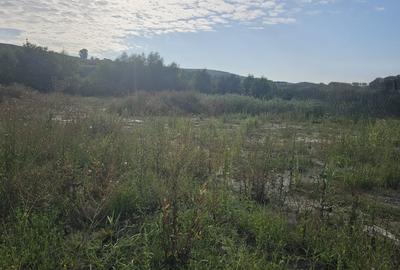 Teren Construcții intravilan de 500 mp, în Chinteni - 3