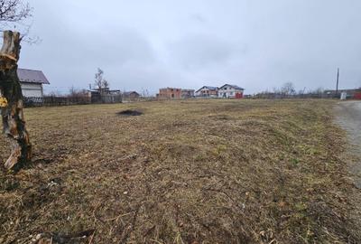 Spațiu comercial, în Moșoaia - 2