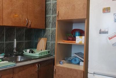 Apartament cu 3 camere decomandat în Timișoara - 10