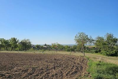 Teren de 5000 mp, în Sânmartin - 3