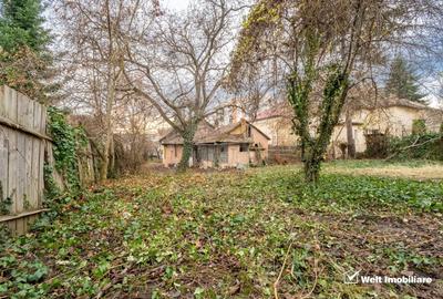 Exclusivitate! Proprietate cu teren generos in Grigorescu - 5