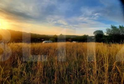 Teren de 1129 mp, în Borhanci - 7