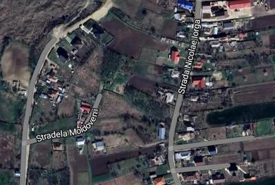 Teren Aroneanu 1000mp - 3