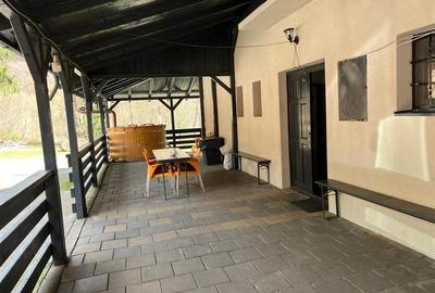 Casa de vacanta de vanzare in Lapusna - 3