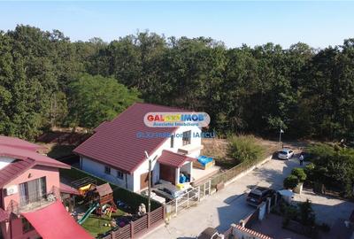 Vila cu garaj Padurea Pantelimon - 4 camere - 9