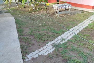 Casă cu Teren 3000 Mp în Bucșani - 11