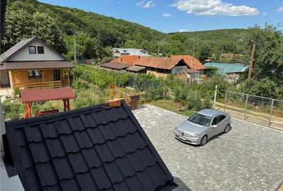 Casa tip P+M zona Mierea - 23