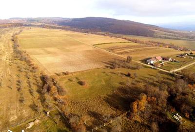 Teren de 808 mp, în Valea Crișului - 3