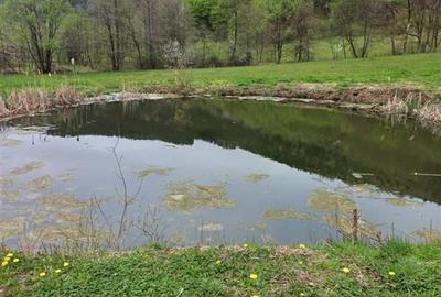 Teren agricol intravilan de 4719 mp, în Bulz - 1