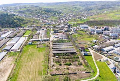 Teren Construcții intravilan de 29790 mp, în Tomești - 5