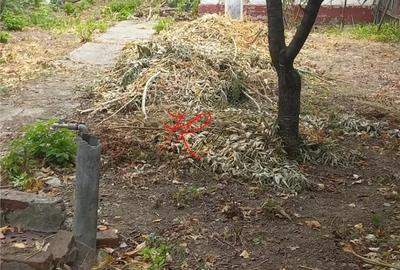 Vanzare teren Bucuresti Noi - Parcul Bazilescu - 1