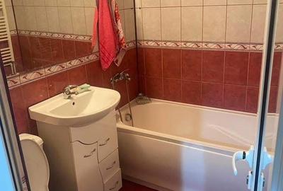 Apartament cu 2 camere decomandat, mobilat în Vidin-Progresul - 6