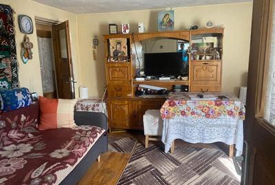 Casa cu gradina si anexe de vanzare, Balta, com. Runcu, Gorj - 10