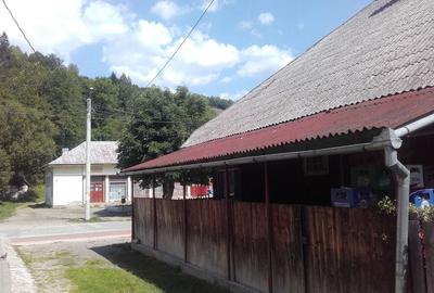 Casă cu 5 camere în Avram Iancu - 1