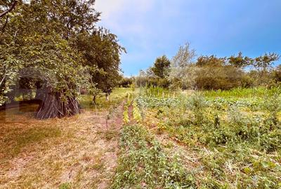 Casa batraneasca de vanzare, cu anexe, 2900 mp teren, zona Pausesti - 12