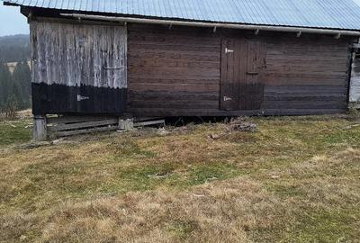 Casă în Albac - 2