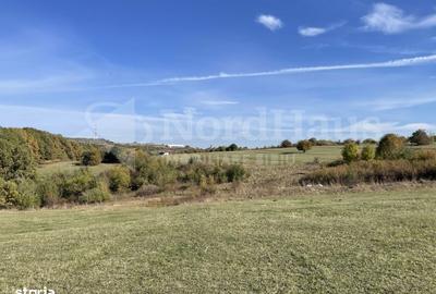 Spațiu comercial, în Rășinari - 2