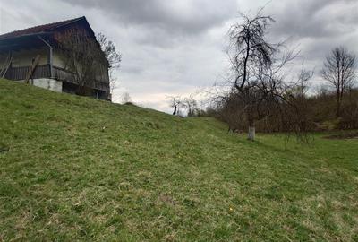 Teren intravilan de 9370 mp, în Țebea - 15