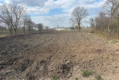 Casă cu Teren 16 Mp în Homorog - 2