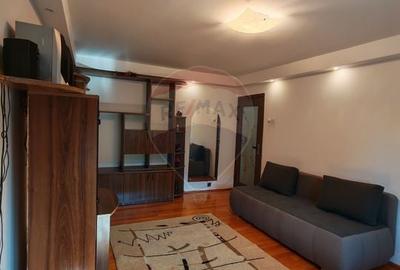 Apartament cu 2 camere decomandat, mobilat în Brazda lui Novac - 4