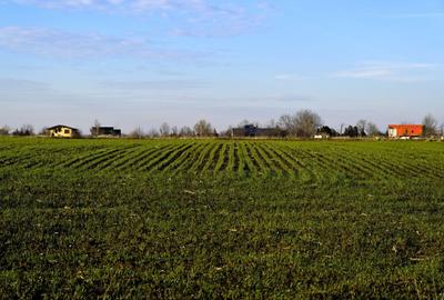 TEREN 762mp zona privata exclusivista Izvorani Delta Snagov la 100m lac - 10