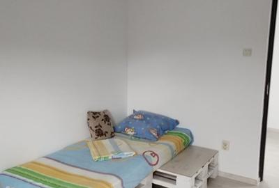 Vila deosebita in Cerasu - 7