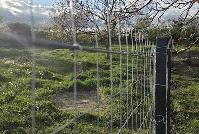 Teren de 611 mp, în Comșești - 7