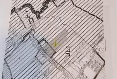 Teren Intravilan 6500mp, spre vanzare in Gusterita - 8