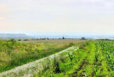 28.554 mp TEREN EXTRAVILAN, TURDA - SĂNDULEȘTI, jud. CLUJ, 300 m de AUTOSTRADA - 4
