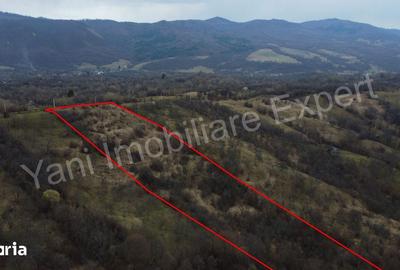 Teren de 14328 mp, în Nucșoara - 1